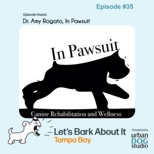 In Pawsuit logo, Lets Bark About It Tampa Bay logo, and Urban Dog Studios logo